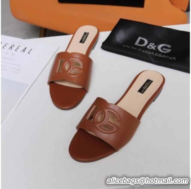 Good Looking Dolce&Gabbana Cutout DG Calfskin Flat Slide Sandals 012506 Brown 2021