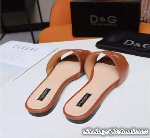 Good Looking Dolce&Gabbana Cutout DG Calfskin Flat Slide Sandals 012506 Brown 2021