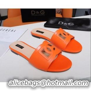 Purchase Dolce&Gabbana Cutout DG Calfskin Flat Slide Sandals 012506 Orange 2021