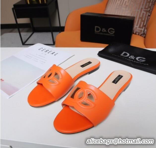 Purchase Dolce&Gabbana Cutout DG Calfskin Flat Slide Sandals 012506 Orange 2021