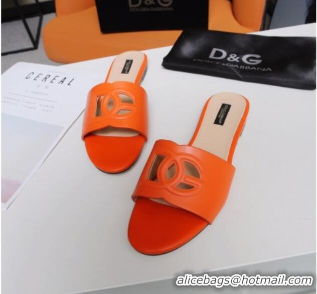 Purchase Dolce&Gabbana Cutout DG Calfskin Flat Slide Sandals 012506 Orange 2021