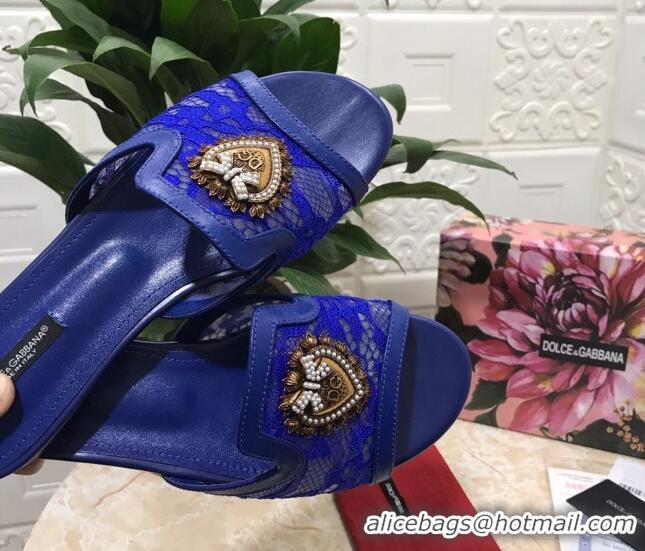 Low Cost Dolce&Gabbana DG Lace Flat Slide Sandals 033169 Royal Blue 2021