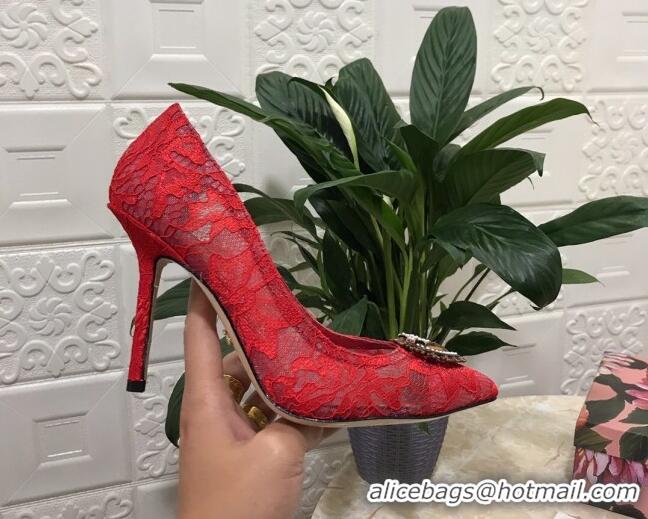 Fashion Dolce&Gabbana DG Lace High- Heel Pumps 10.5cm 033175 Red 2021