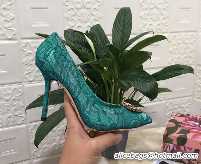 Cute Dolce&Gabbana DG Lace High- Heel Pumps 10.5cm 033175 Green 2021