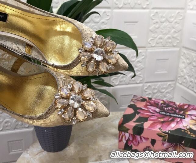 Perfect Dolce&Gabbana DG Lace Crystal High- Heel Pumps 10.5cm 033181 Beige 2021