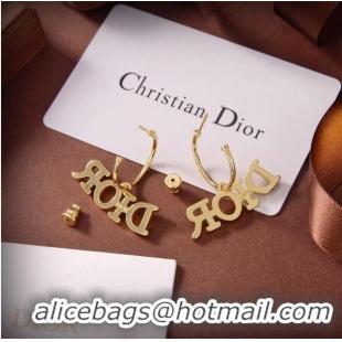 Unique Grade Dior Earrings CE6555