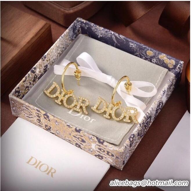 Unique Grade Dior Earrings CE6555