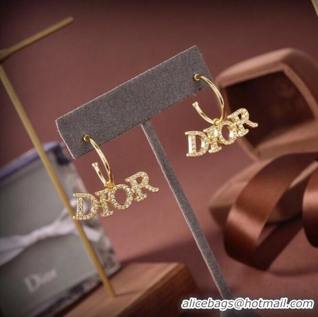 Unique Grade Dior Earrings CE6555