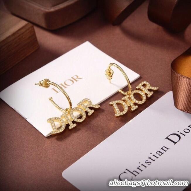 Unique Grade Dior Earrings CE6555