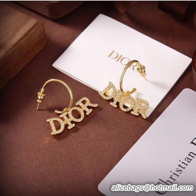 Unique Grade Dior Earrings CE6555