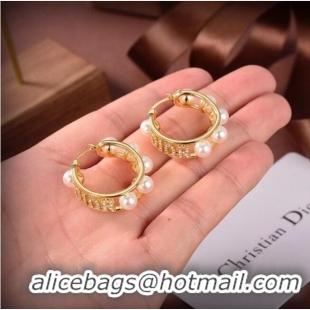 Buy Discount Dior Earrings CE6556