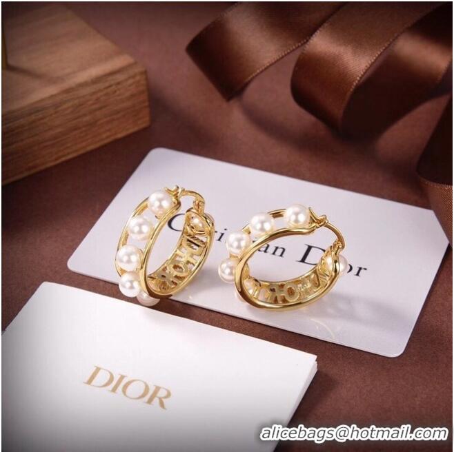 Buy Discount Dior Earrings CE6556