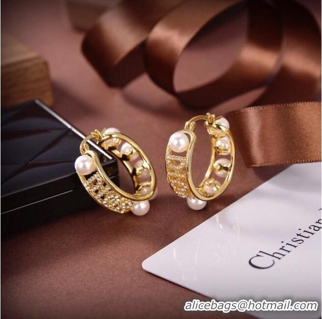 Buy Discount Dior Earrings CE6556