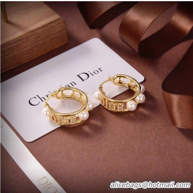 Buy Discount Dior Earrings CE6556