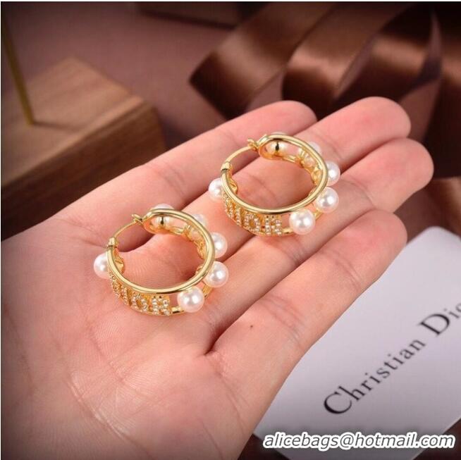 Buy Discount Dior Earrings CE6556