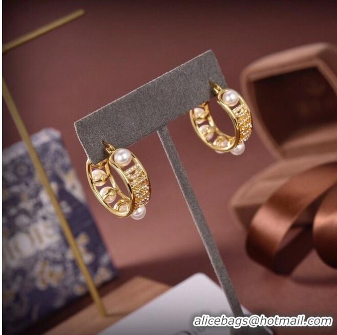 Buy Discount Dior Earrings CE6556