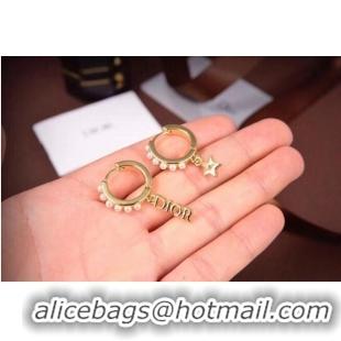 Famous Brand Dior Earrings CE6557