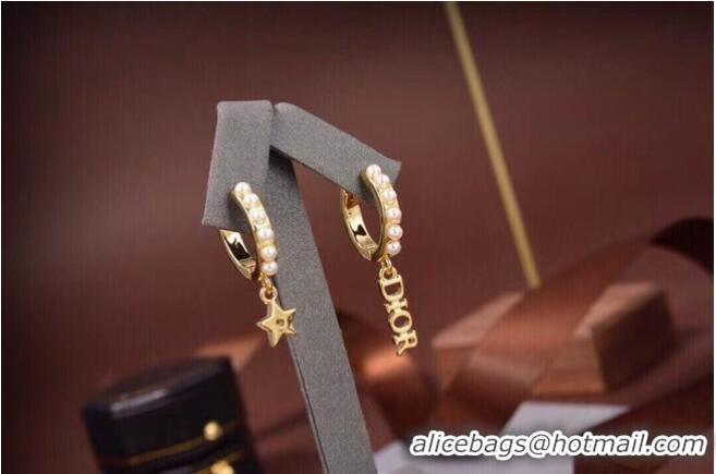 Famous Brand Dior Earrings CE6557