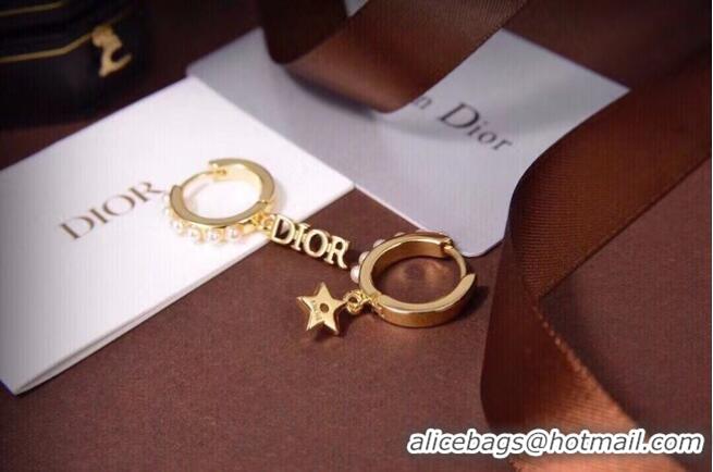 Famous Brand Dior Earrings CE6557