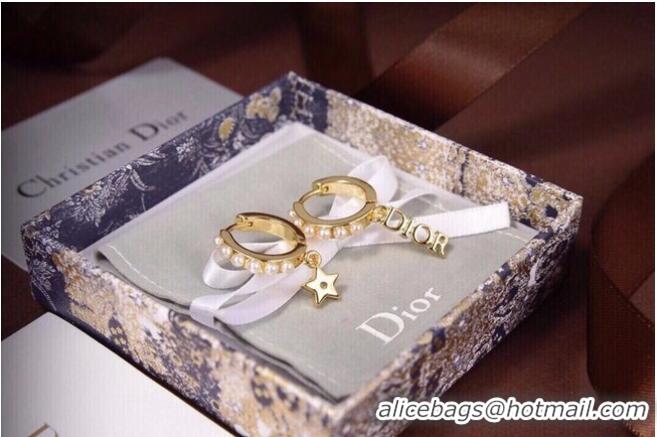 Famous Brand Dior Earrings CE6557