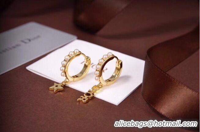 Famous Brand Dior Earrings CE6557