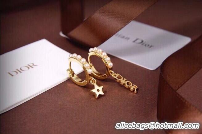 Famous Brand Dior Earrings CE6557