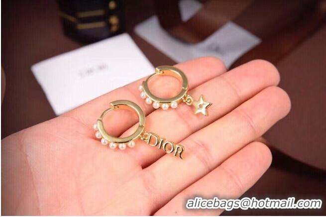 Famous Brand Dior Earrings CE6557