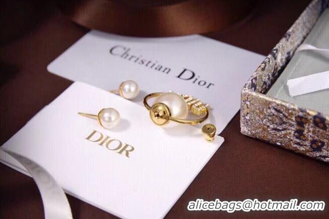 Cheap Price Dior Earrings CE6558