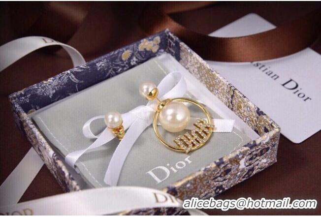 Cheap Price Dior Earrings CE6558