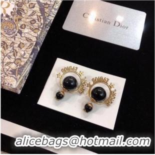 Good Product Dior Earrings CE6559