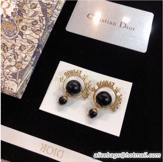 Good Product Dior Earrings CE6559