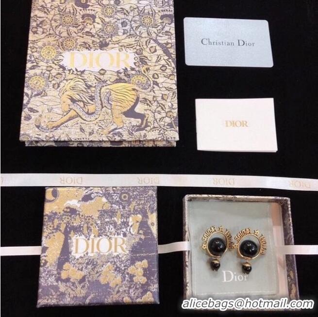 Good Product Dior Earrings CE6559