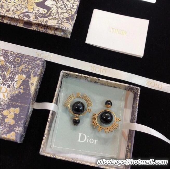 Good Product Dior Earrings CE6559