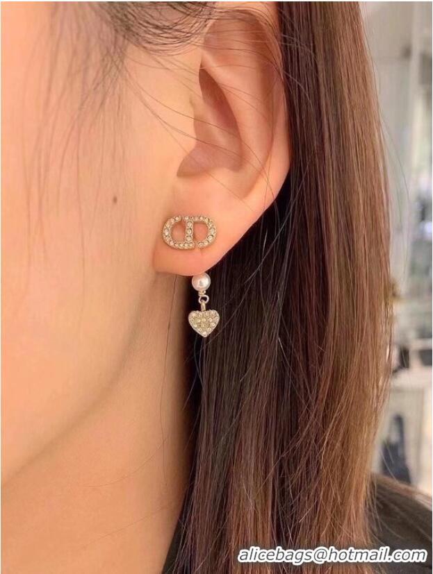 Top Grade Dior Earrings CE6560