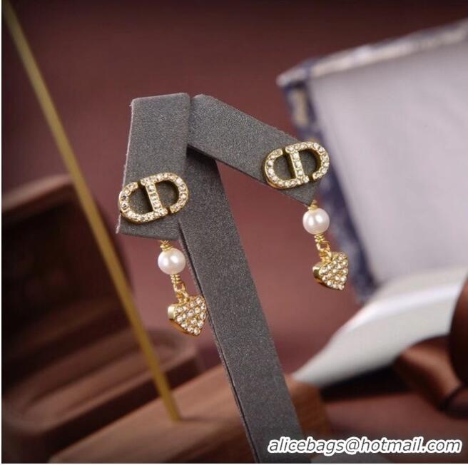 Top Grade Dior Earrings CE6560