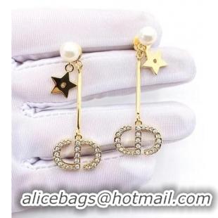 Hot Sell Discount Dior Earrings CE6577