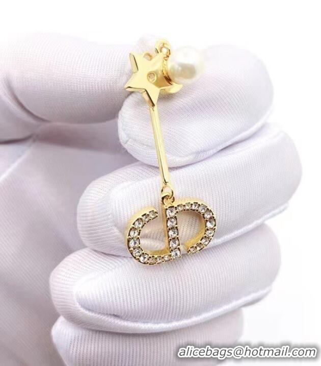 Hot Sell Discount Dior Earrings CE6577