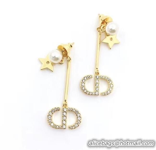 Hot Sell Discount Dior Earrings CE6577