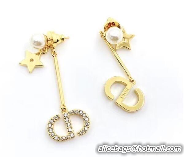 Hot Sell Discount Dior Earrings CE6577