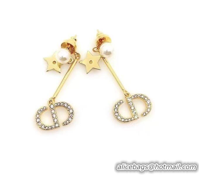 Hot Sell Discount Dior Earrings CE6577