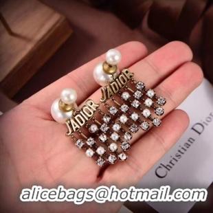 Free Shipping Promotional Dior Earrings CE6583