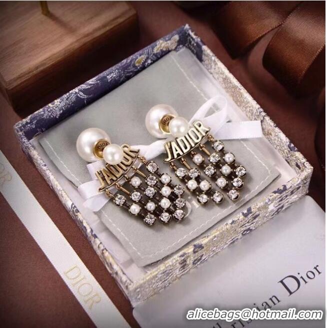 Free Shipping Promotional Dior Earrings CE6583