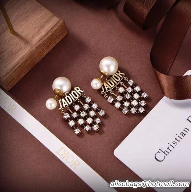 Free Shipping Promotional Dior Earrings CE6583