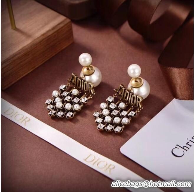 Free Shipping Promotional Dior Earrings CE6583