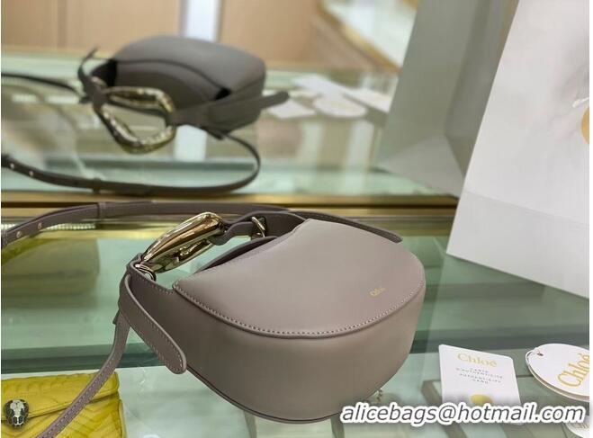 Unique Style Chloe Original Calfskin Leather Bag 3S1350 grey