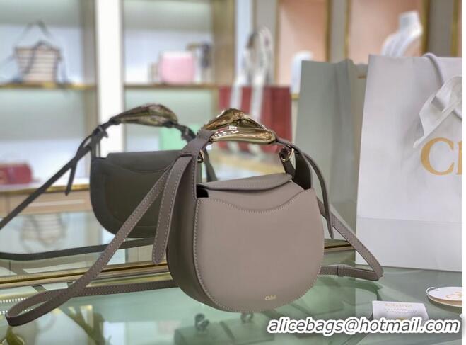 Unique Style Chloe Original Calfskin Leather Bag 3S1350 grey