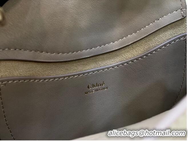 Unique Style Chloe Original Calfskin Leather Bag 3S1350 grey