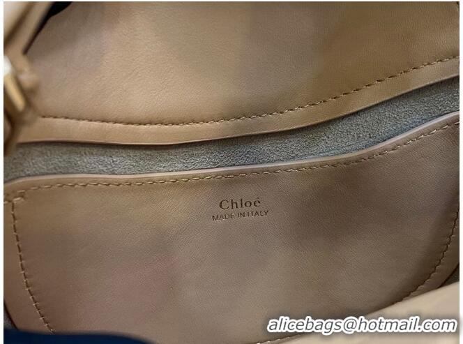 Affordable Price Chloe Original Calfskin Leather Bag 3S1350 Apricot