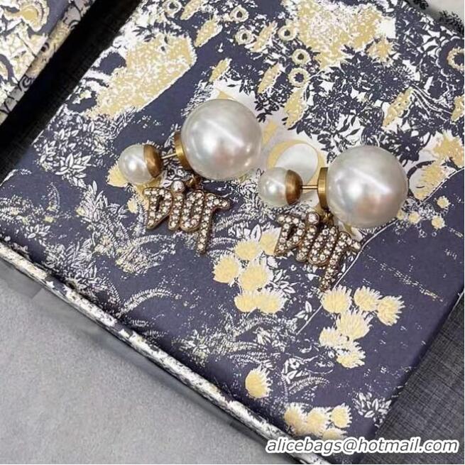 Imitation Charming Dior Earrings CE6617