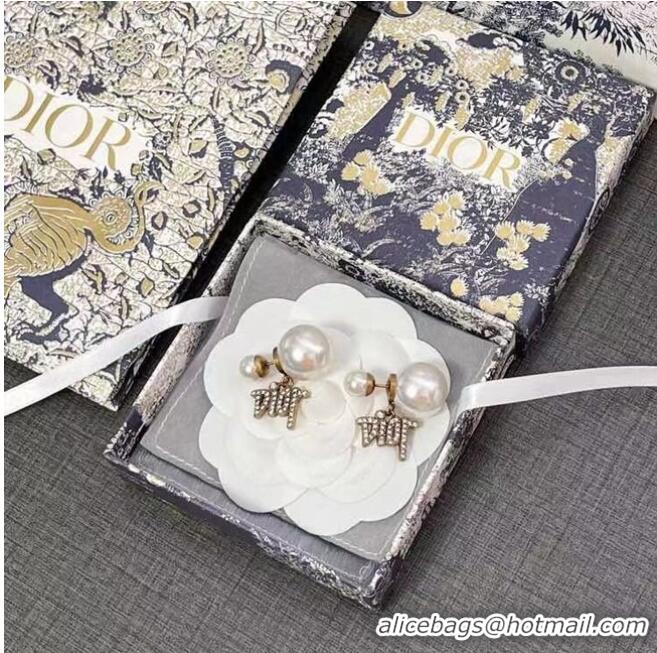 Imitation Charming Dior Earrings CE6617